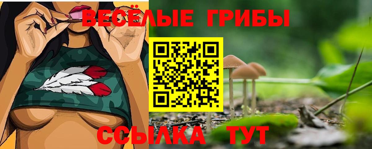 Всеволожск  Псилоцибиновые грибы Cubensis  хочу наркоту  Галлюциногенные грибы Magic Shrooms  Вход с VPN 